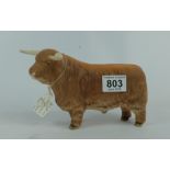 Beswick model of a Highland Bull 2008 (m