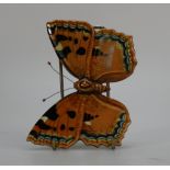 Beswick Large Tortoiseshell Butterfly 1491