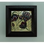 Moorcroft Chocolate Cosmos plaque, 14 x 14cm. Designed by Rachel Bishop.