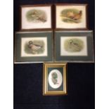 A pair of coloured bird prints - mallard & partridge, mounted in silvered frames; another framed