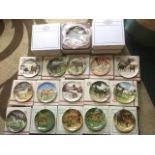 Eleven Spode boxed limited edition collectors plates depicting horses - Lippizaner, Arabian,