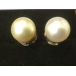 A pair of large quarter inch pearl earrings, the iridescent pearls on a pierced collar, with