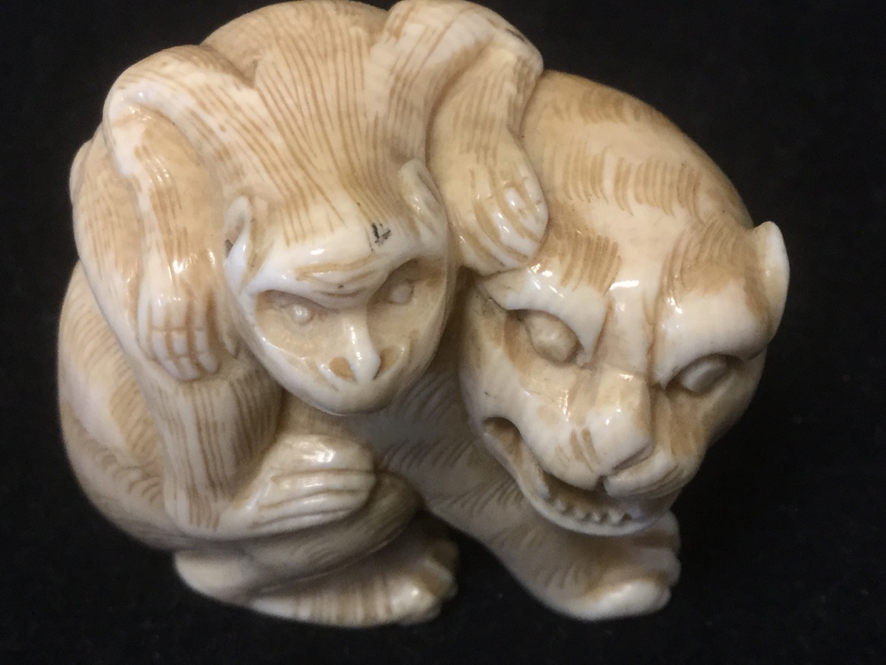 A carved ivory netsuke of a cat with monkey on its back; and another carved as a lion eating its - Image 2 of 3