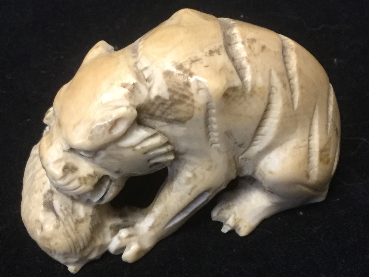 A carved ivory netsuke of a cat with monkey on its back; and another carved as a lion eating its - Image 3 of 3
