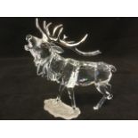 A Swarovski stag, in a rutting stance, on frosted base, with silver antlers and amber stone eyes -