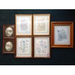 Five framed prints of garden herbs & flowers; and a pair of oval landscape prints. (7)