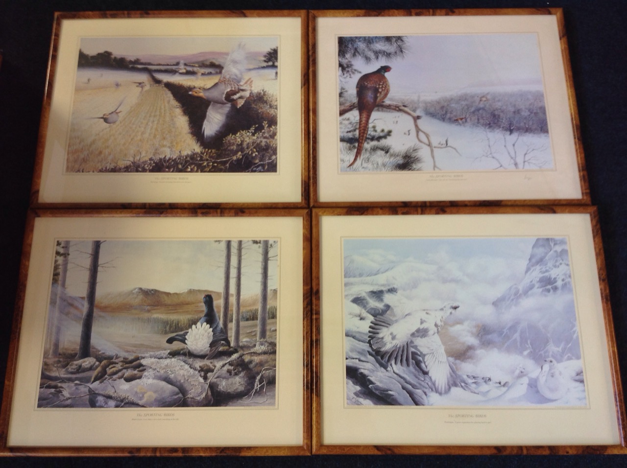 Andrew Ellis, a set of four sporting bird prints published by Ashcombe Fine Arts - partridge,