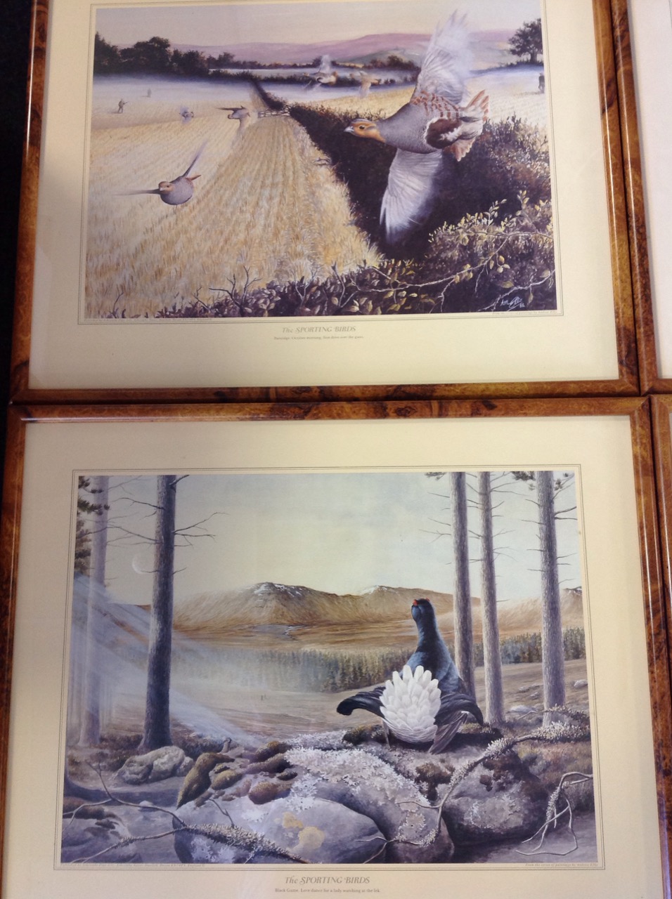 Andrew Ellis, a set of four sporting bird prints published by Ashcombe Fine Arts - partridge, - Image 3 of 3