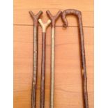 Three hazel thumbsticks with carved burr forks; and a carved shepherds crook. (4)