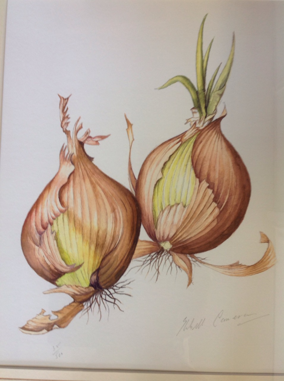 E Cameron, a signed & numbered still life print of onions, mounted & framed; and an Alexandra - Image 3 of 3