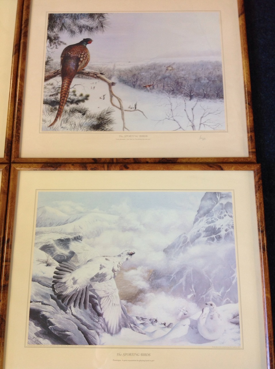 Andrew Ellis, a set of four sporting bird prints published by Ashcombe Fine Arts - partridge, - Image 2 of 3