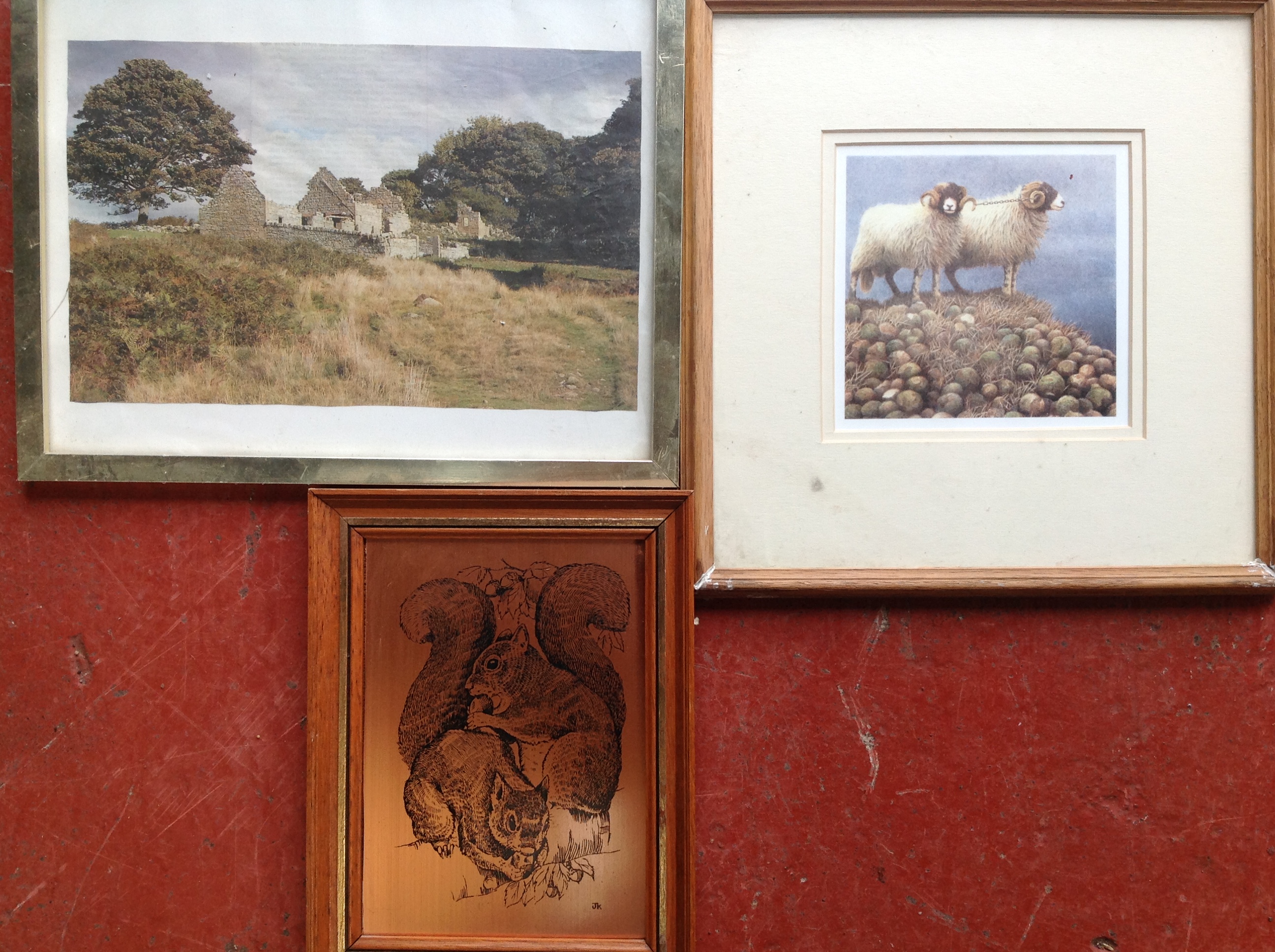 Miscellaneous pictures & prints including a photograph of St Abbs, sheep, a copper plate of - Image 2 of 3