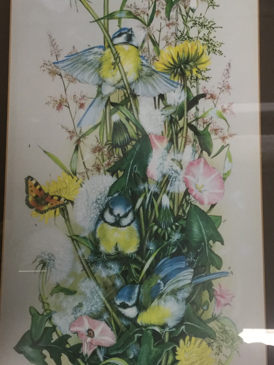 A pair of Mitchell prints of birds, butterflies & flowers, signed, mounted & framed. (2) - Image 2 of 3