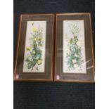 A pair of Mitchell prints of birds, butterflies & flowers, signed, mounted & framed. (2)