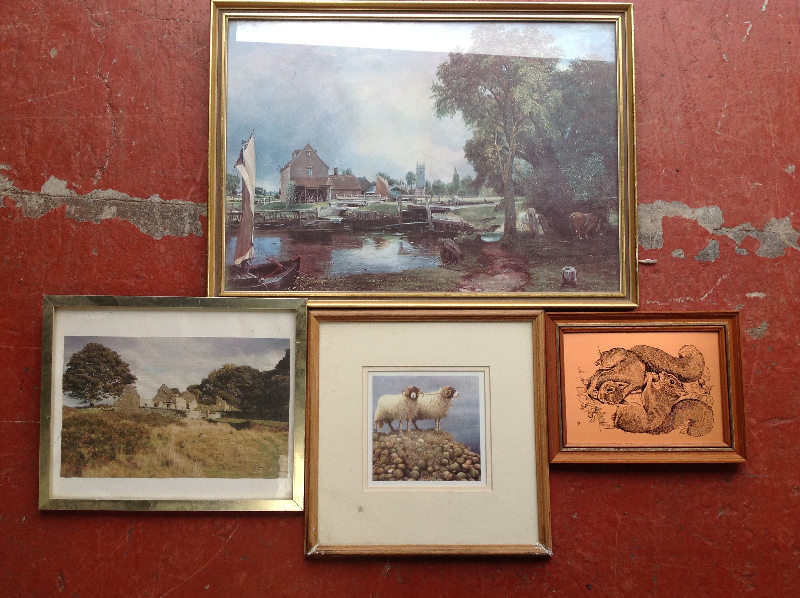 Miscellaneous pictures & prints including a photograph of St Abbs, sheep, a copper plate of