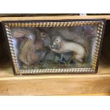 A taxidermy tapering glass case with pair of red squirrels in naturalistic setting, with rippled