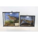 Glazed case containing a Land Rail in naturalistic setting, 26cm x 29.