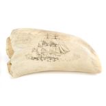 19th century scrimshaw whale's tooth,