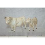 Beswick Charolais bull and a similar cow (2) CONDITION REPORT Both bulls in good