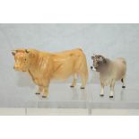 Beswick Jersey bull - Champion Dunsley Cowboy and one other Charolais bull (2) CONDITION