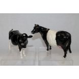 Beswick Belted Galloway cow and Shetland cow (2) CONDITION REPORT One cow has some