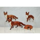 Four Beswick Foxes - three standing and one curled CONDITION REPORT One fox has a