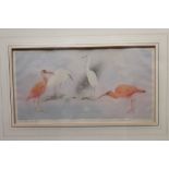 Edward Julius Detmold (1883 - 1957), signed coloured etching - Cranes, numbered 15 / 30,