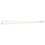 Cultured pearl necklace with a string of graduated cultured pearls, measuring approximately 7.