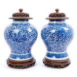 Pair 19th century Chinese export blue and white porcelain baluster-shaped vases with painted floral