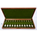 Set of twelve contemporary silver Fellowes edition Royal Horticultural Society flower spoons inset