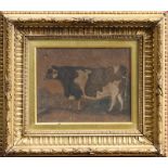 John Vine of Colchester (1808 - 1867), watercolour - study of a calf,