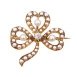 Edwardian seed pearl and diamond clover leaf brooch,