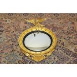 Regency-style carved giltwood convex wall mirror,