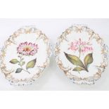 Pair early 19th century George Grainger botanical oval dishes with finely painted flowers within
