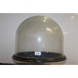 Large glass display dome on a wooden stand,