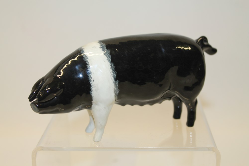 Beswick Wessex saddleback sow 'Merrywood Silver Wings', model no. 1511, approximately 14.