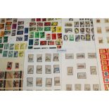 Matchbox label collection in folders and on loose pages - G.B.