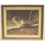 Stunning oil of squirrel signed Nance