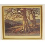 Framed print 'Evening Sunlight in Wicklow'