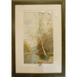 V. Allen: a framed watercolours, depicting silver birches on a river bank - 17 1/4" x 10"