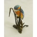 Two Royal Worcester Albany models of kingfishers, on bronze branch bases - boxed