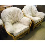 A pair of cane framed conservatory chairs with Greek motif upholstered cushions