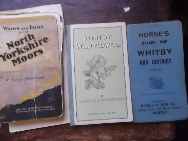 4 various local publications, 1. Horne's Walking Map of Whitby - 14th edition, 2. Walks & Talks on