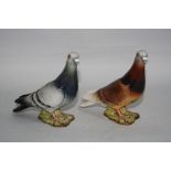 TWO BESWICK PIGEONS, No 1383B, one blue gloss and one red gloss (2)