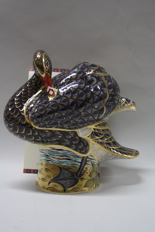 A BOXED LIMITED EDITION ROYAL CROWN DERBY PAPERWEIGHT, 'Black Swan' (Prestige), No.47/300,