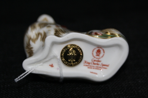 A BOXED ROYAL CROWN DERBY PAPERWEIGHT, 'Cavalier King Charles Spaniel' - Image 2 of 2