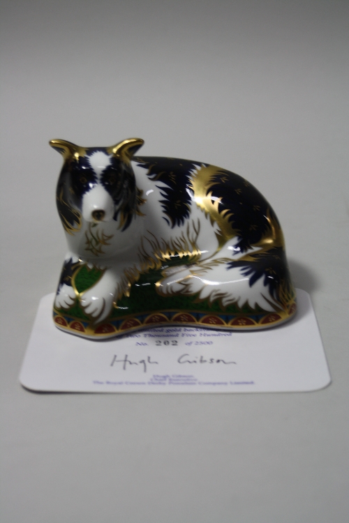 A BOXED LIMITED EDITION ROYAL CROWN DERBY PAPERWEIGHT, 'Border Collie' No.202/2500 signed Jane James