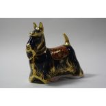 A BOXED ROYAL CROWN DERBY PAPERWEIGHT, 'Scottish Terrier'
