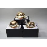 THREE BOXED LIMITED EDITION ROYAL CROWN DERBY PAPERWEIGHTS, 'The Yorkshire Rose Tortoise Faimly', to