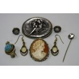 A SMALL TRAY OF MIXED JEWELLERY, to include earrings and brooches